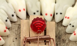 Não cobiçarás o WiFi do próximo